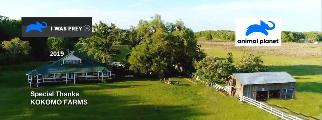 Kokomo Farms Лайв Оук Екстериор снимка