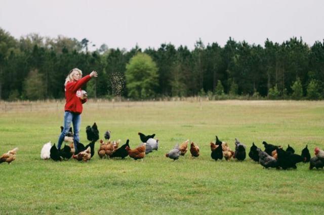 Kokomo Farms Лайв Оук Екстериор снимка