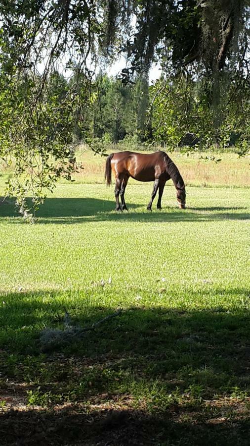 Kokomo Farms Лайв Оук Екстериор снимка